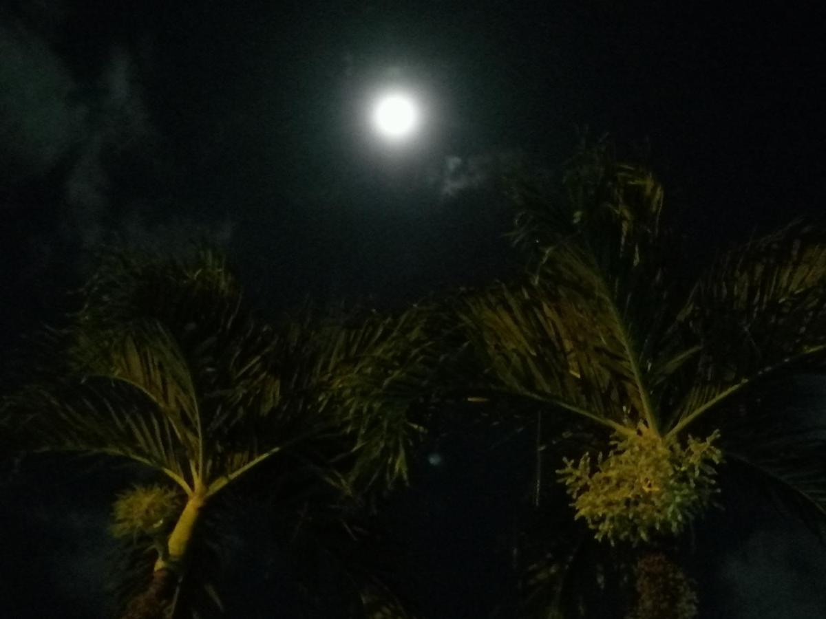 Hotel Malinche Quepos Εξωτερικό φωτογραφία